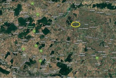 Teren agricol extravilan de 1040000 mp, în Movilița - 2