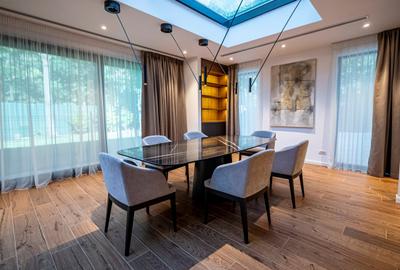 Duplex cu 7 camere cu Teren 377 Mp în Herăstrău - 2