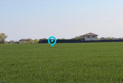 Teren Construcții intravilan de 10000 mp, în Balotești - 1