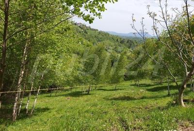 Teren de 2200 mp, în Moieciu - 5