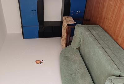 Apartament cu 2 camere semidecomandat în Exterior Vest - 20