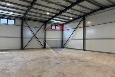 Spațiu industrial, de 250 mp, în Cernica
