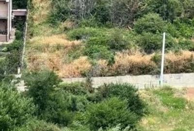 Teren de 850 mp, în Mărășești