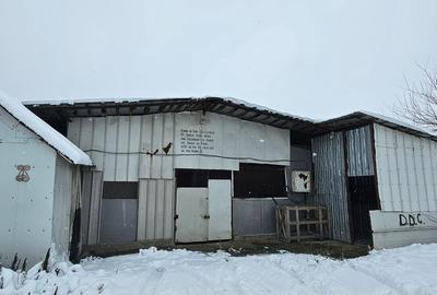 Teren de 11860 mp, în Călugăreni - 7