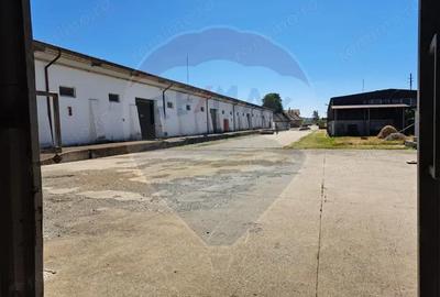 Spațiu comercial, de 2,500 mp, în Sângeorgiu de Pădure - 12