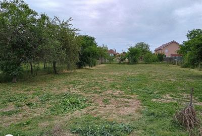 Casă cu 4 camere cu Teren 1300 Mp în Șicula - 8