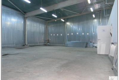 Spațiu industrial, de 250 mp, în Uzina 2 - 3