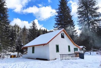 Casă cu 2 camere în Lepșa - 7