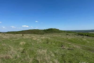Teren de 480000 mp, în Prunișor - 5