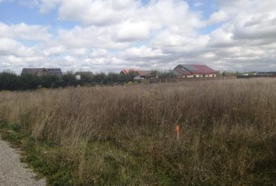 Teren Construcții intravilan de 500 mp, în Hărman - 2