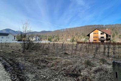Teren Construcții intravilan de 1000 mp, în Săcele - 4