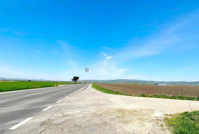 Teren Construcții intravilan de 60000 mp, în Feldioara - 10
