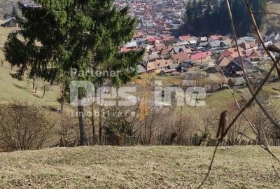 Teren de 5000 mp, în Șinca - 1