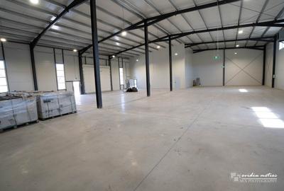 Spațiu industrial, de 718 mp, în Apahida - 1