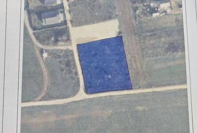 Teren de 960 mp, în Mihai Viteazu