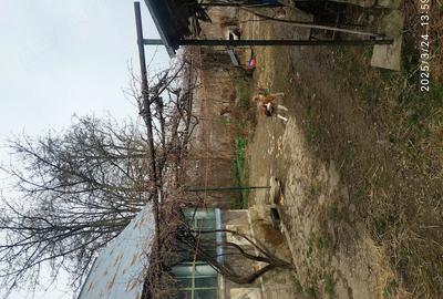 Casă cu 2 camere cu Teren 1100 Mp în Pucioasa-Sat