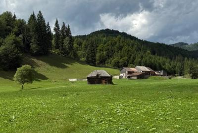 Teren de 6800 mp, în Rucăr - 2