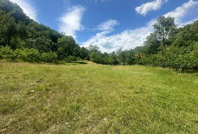 Teren intravilan de 700 mp, în Valea Vințului - 1