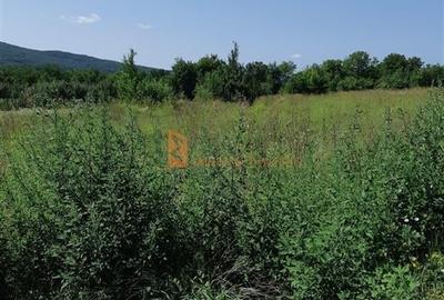 Teren Construcții intravilan de 4678 mp, în Pârscov - 3