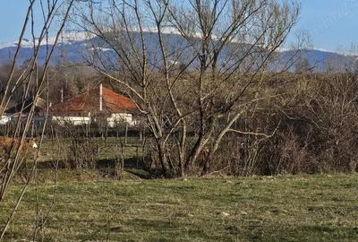 Teren de 2000 mp, în Obreja