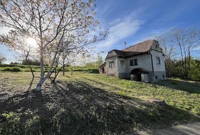 Casă cu 2 camere cu Teren 2500 Mp în Berghin - 2