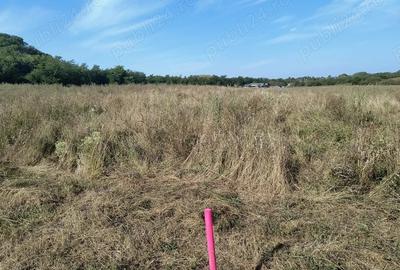 Teren de 7500 mp, în Băicoi - 1