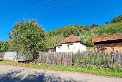 Casă individuală cu 3 camere cu Teren 5400 Mp în Petriș - 3