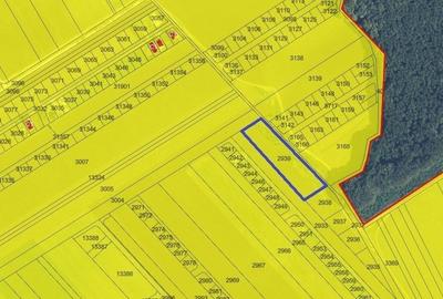 Teren agricol extravilan de 7961 mp, în Frumușani - 7