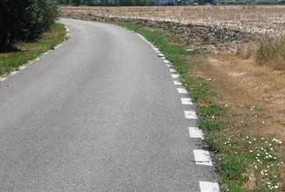 Teren de 600 mp, în Săcălaz
