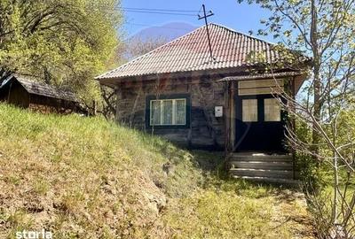 Casă cu 3 camere cu Teren 6039 Mp în Desești - 2
