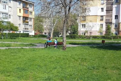 Teren de 1819 mp, în Hunedoara - 3