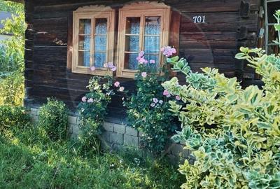 Casă cu 3 camere cu Teren 679 Mp în Vad - 8