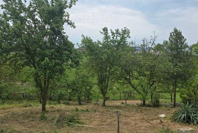 Casă cu 4 camere în Cotu Văii - 3