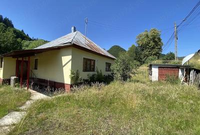 Casă cu 2 camere cu Teren 1742 Mp în Central - 2