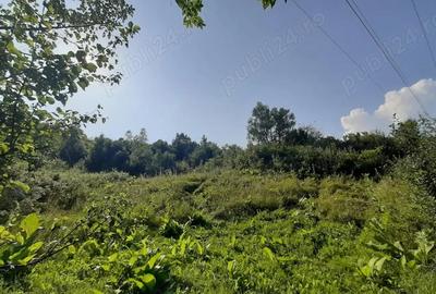 Teren de 3700 mp, în Vâlcănești