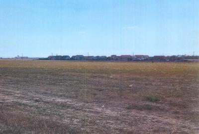 Teren agricol extravilan de 9800 mp, în Orțișoara - 2