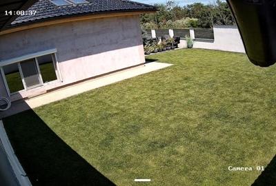 Casă cu 4 camere în Valu lui Traian - 8