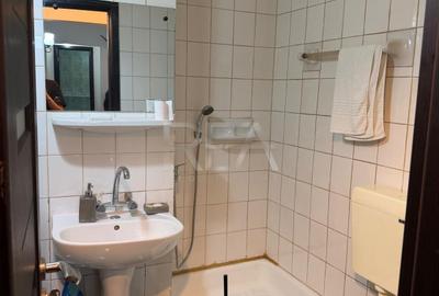 Apartament cu 4 camere decomandat, mobilat în Gorjului - 15
