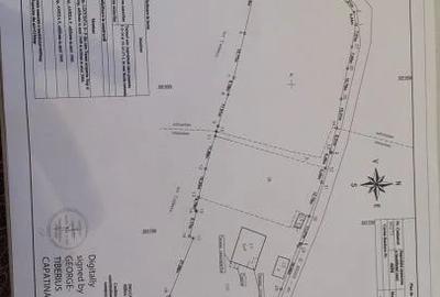 Casă cu 3 camere cu Teren 4696 Mp în Central