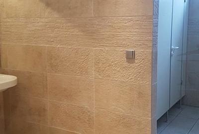 Spațiu comercial, de 300 mp, în Someșeni - 8