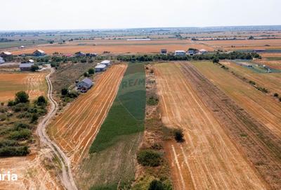 Teren de 983 mp, în Săbăreni