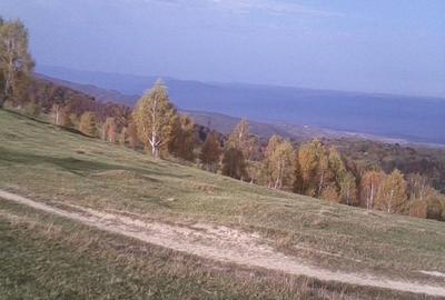 Teren de 21400 mp, în Central - 5