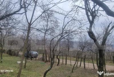 Teren în Schiulești - 1