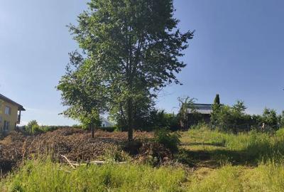 Teren de 1815 mp, în Gheorgheni