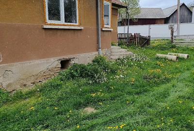 Casă cu 3 camere cu Teren 500 Mp în Dângău Mare - 3