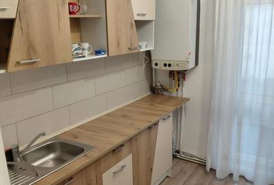 Apartament cu 2 camere decomandat în Cetate - 7