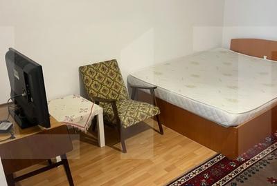 Garsonieră decomandată, mobilată în Brazda lui Novac