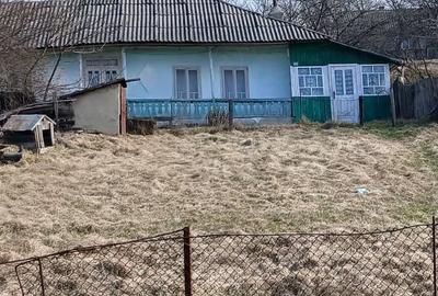 Casă cu Teren 2500 Mp în Răchiți - 1