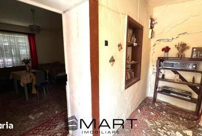 Casă cu 2 camere cu Teren 660 Mp în Axente Sever - 8