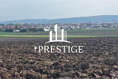 Teren agricol extravilan de 10000 mp, în Șura Mică - 11